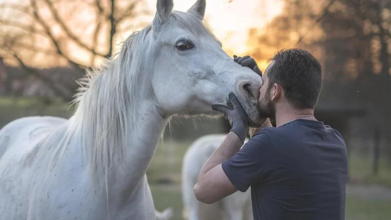 Kompozycja i światło w fotografii: proste zasady, które działają